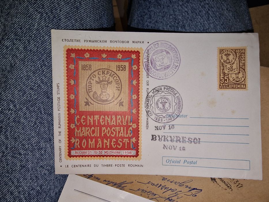 Plic prima mana 19 buc