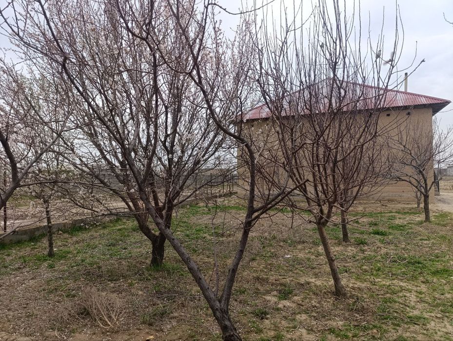 Учаска 20сотик+20сотик