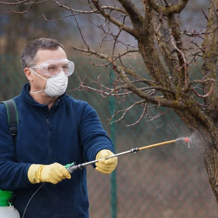 Обработка, фумигация растений* ёлок, плодовых деревьев, кустарников