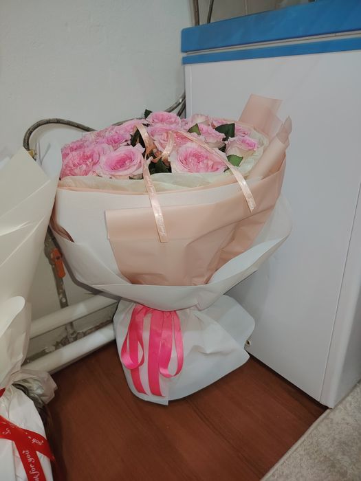 Продам цветы розы Срочно!