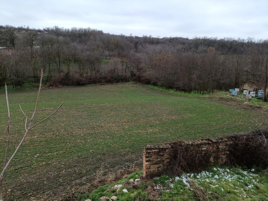 Продава се Къща в Силистра, Център - 3000 кв.м за 6 €/кв.м - Снимка #2