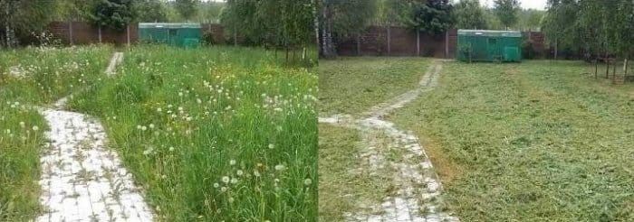 Покос травы Быстро, Качественно