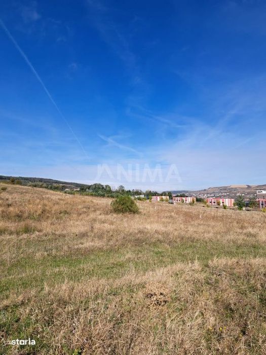 Teren de vanzare pe Dealul Lombului, aproape de Cluj Innovation Park