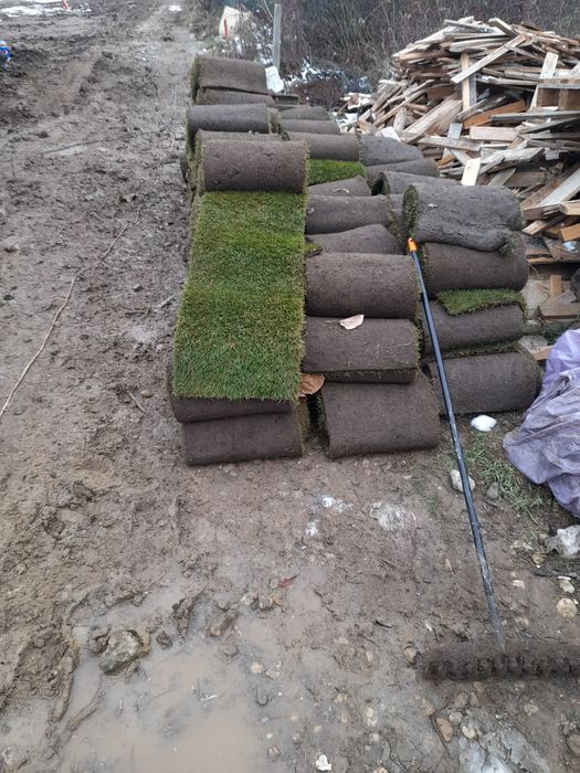 Amenajari gradini și sisteme de drenaj și irigatie si  întreținere