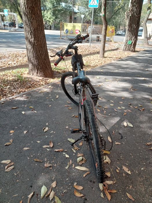 Продам велик Focus