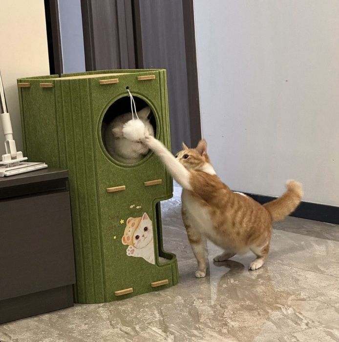 ‼️Домик для кошек ‼️