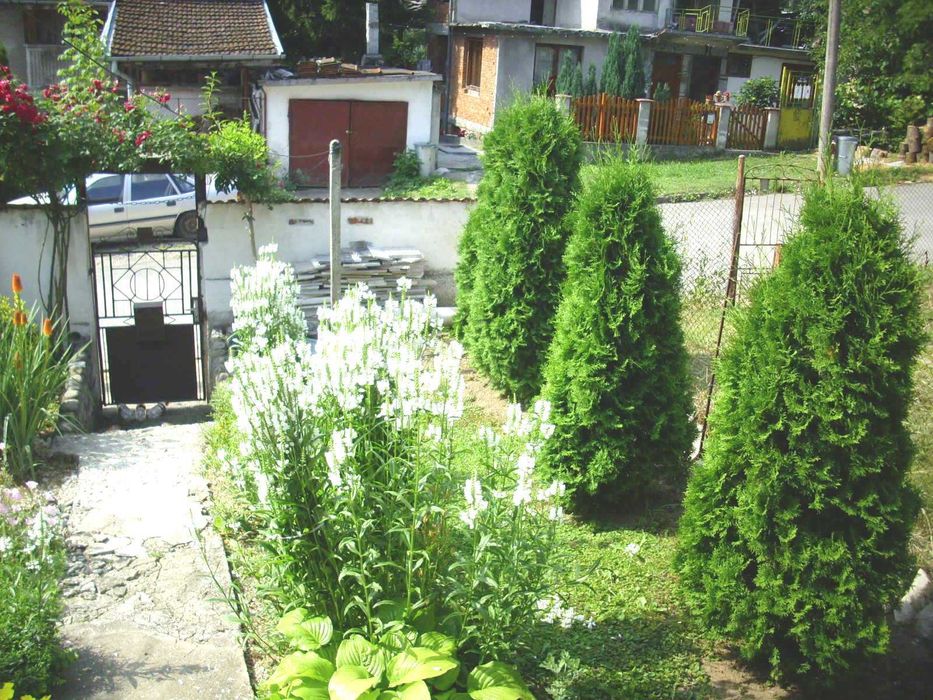 Продава се Къща в с. Горна Вереница, Област Монтана - 110 кв.м за 1091 €/кв.м - Снимка #7