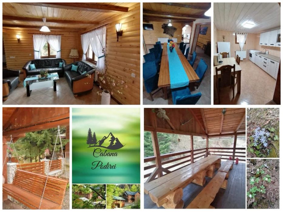 Cabană de vânzare( afacere la cheie)