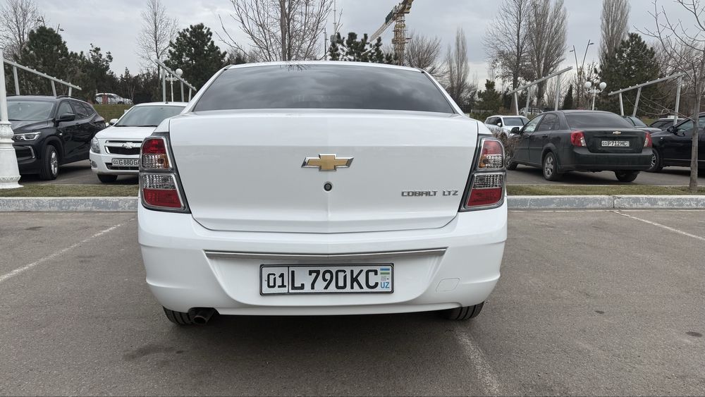 Cobalt Midnight (summit white)