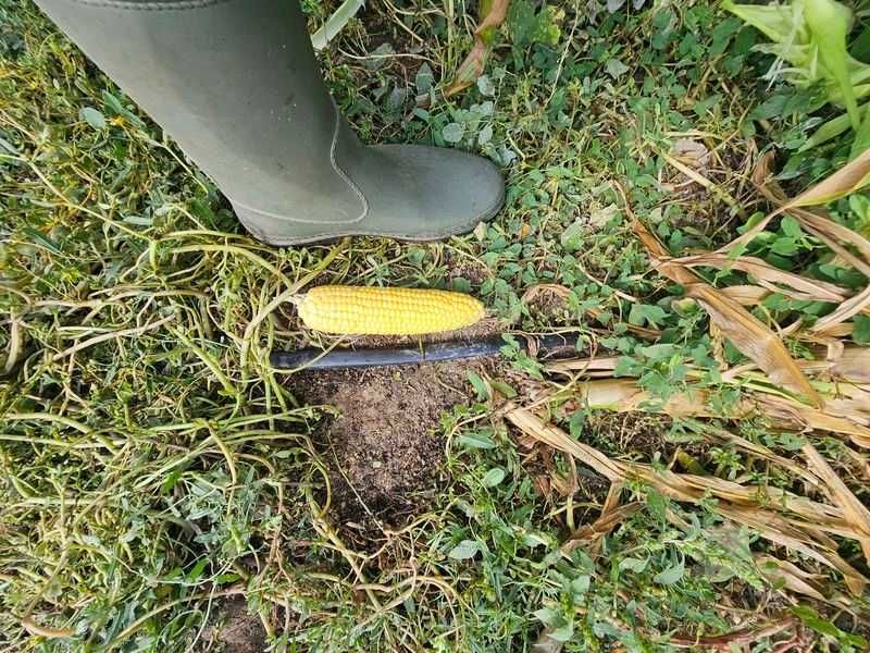 Продава се Земеделски имот в с. Крислово, Област Пловдив -  кв.м за 62 €/дка - Снимка #5