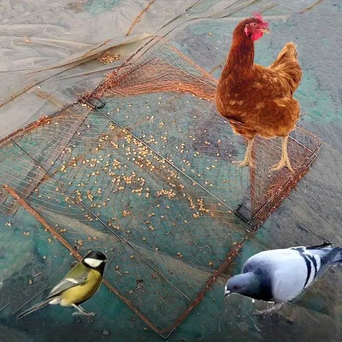 Универсальная автоматическая ловушка для охоты