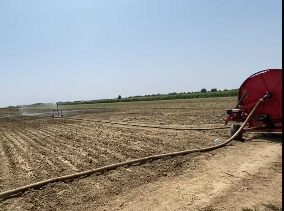 Tambur Malupe Agro
