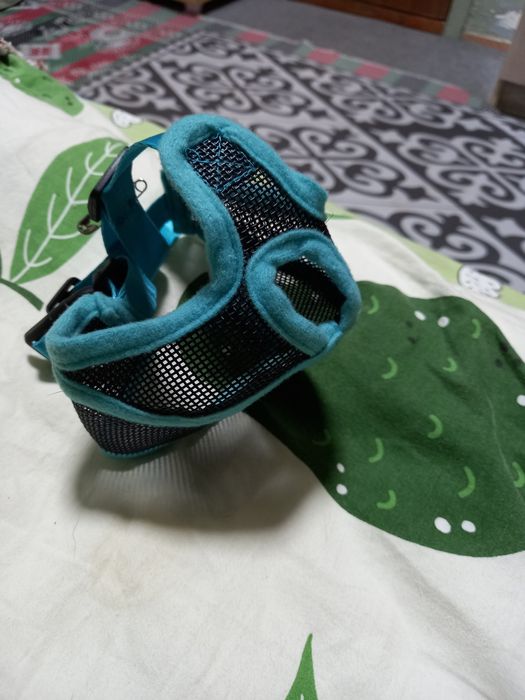 Намордник для мопса