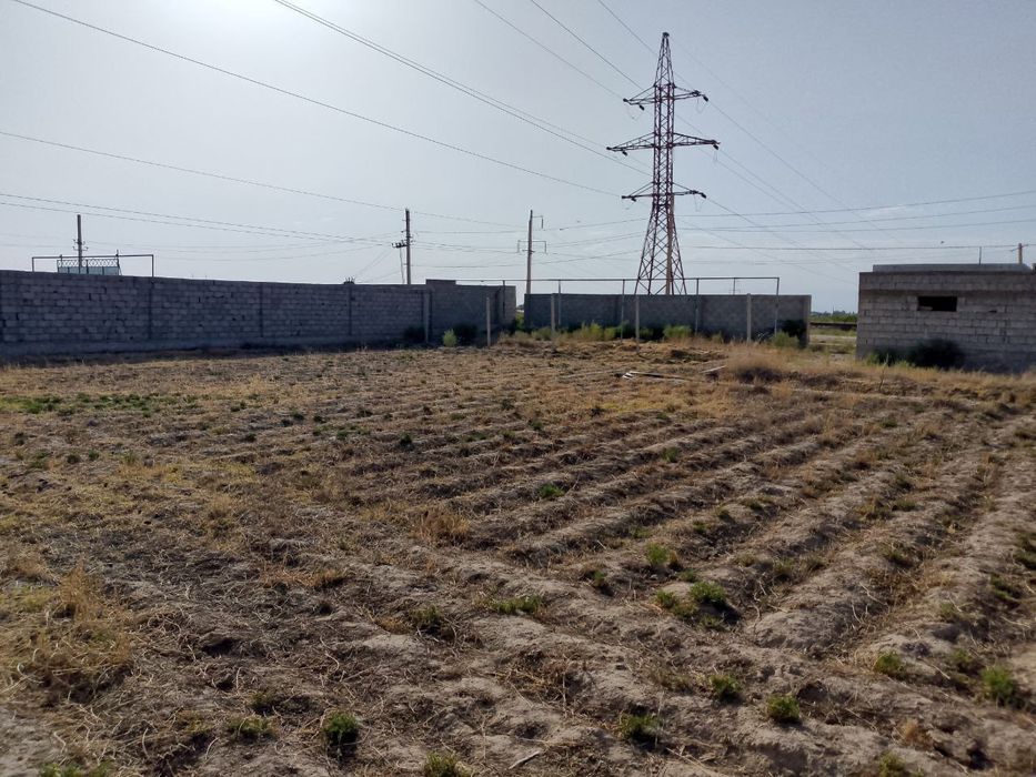 Yer uchastkasi 12 sotix 5 xona