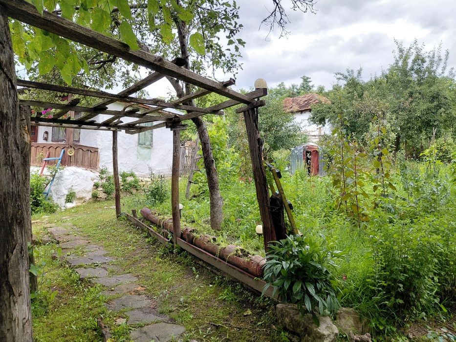 Casa Tradițională de vânzare