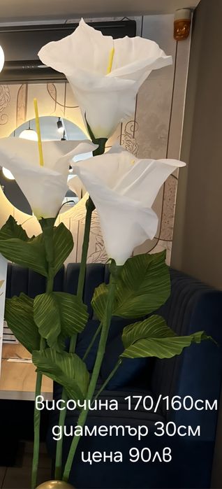 Цветя за декорация