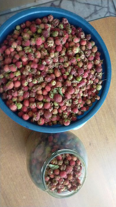 Продам землянику.собрана 27 июня.