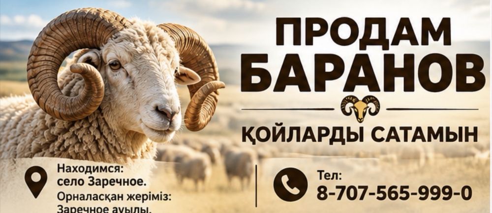 Продам Токты с откорма