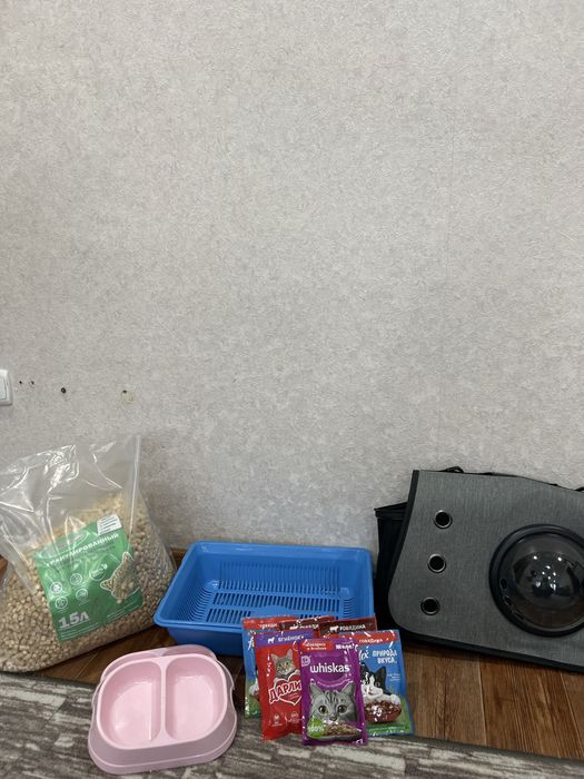 Продам Кошачие пренадлежности