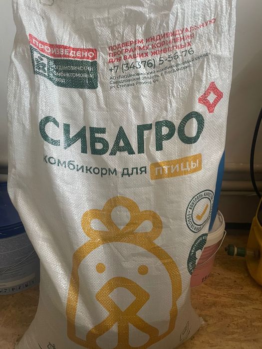 Продается Куры и Петухи