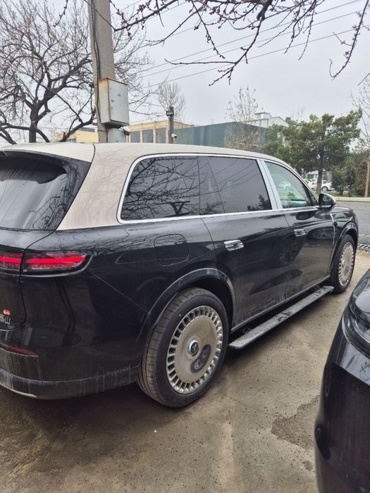 Voyah Taishan Max plus