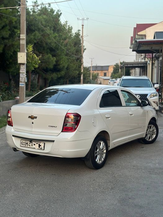 Kobalt 2025 Toza ARENDA