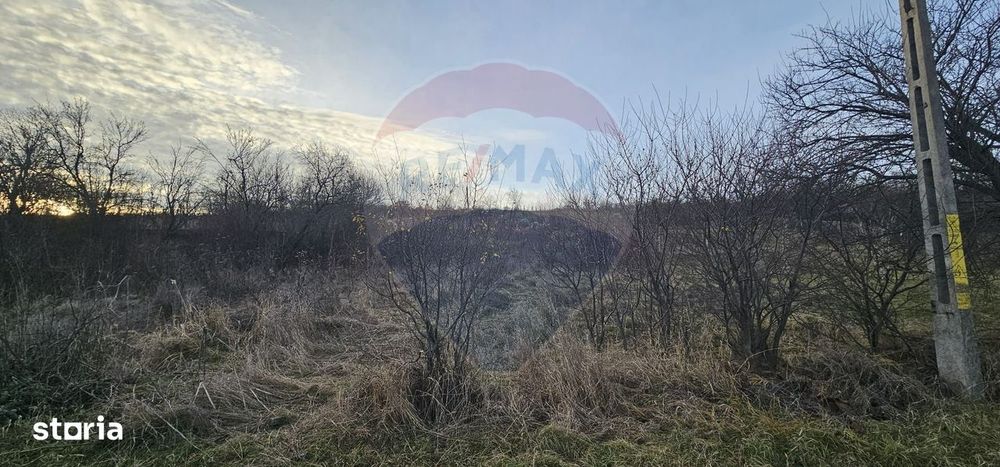 Teren 2.500mp, sat Odobești, com. Odobești, jud. Bacău - Mai multe