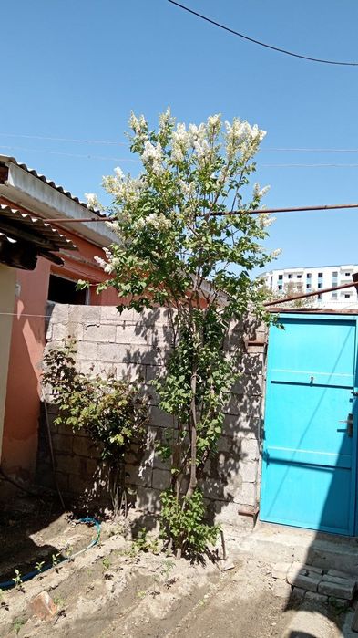 Продаётся домик 2х комнатный в центре города