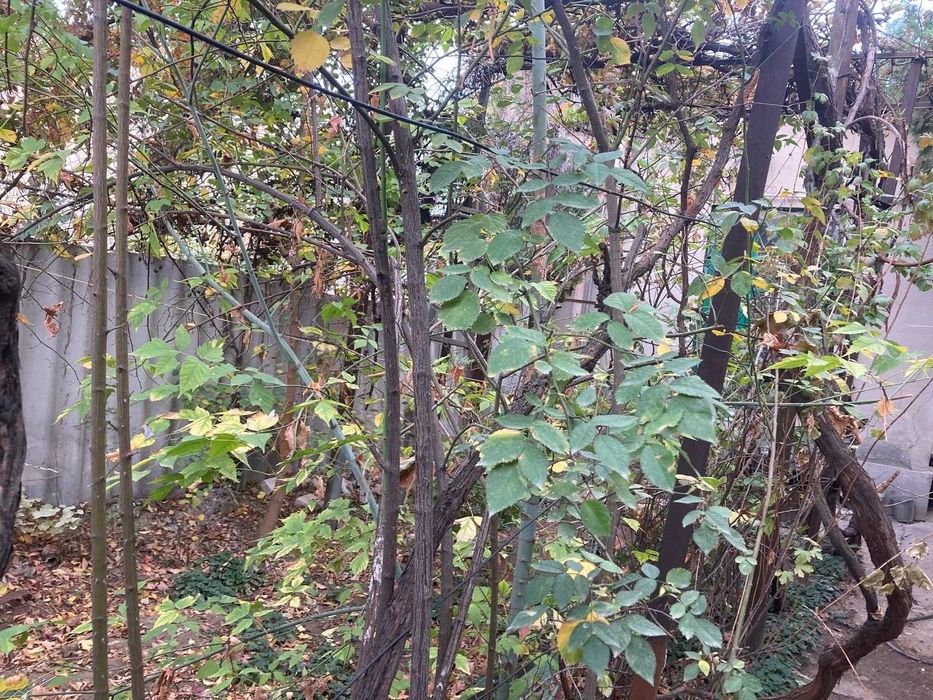 ГЕЙДАРА АЛИЕВА, 10 минут от центра города, гаспиталки дом вдоль дороги