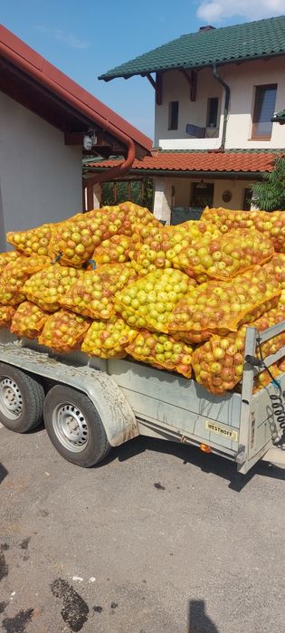 Suc de mere, aronia,sfecla rosie, morcov și struguri.