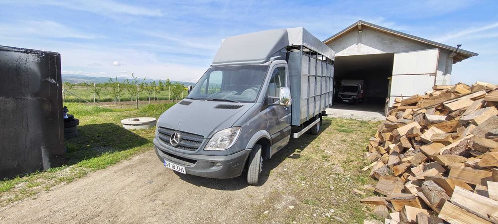 Mercedes Sprinter 515 CDI,  Transport animale, 2007