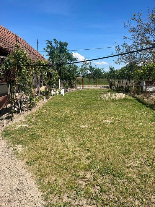 Casă de vânzare in jud.Satu Mare