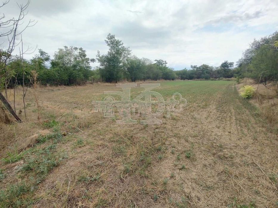 Продава се Къща в с. Бдинци, Област Добрич - 77 кв.м за 225 €/кв.м - Снимка #11