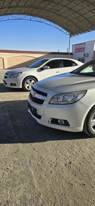 Malbu1 2chi podisiya