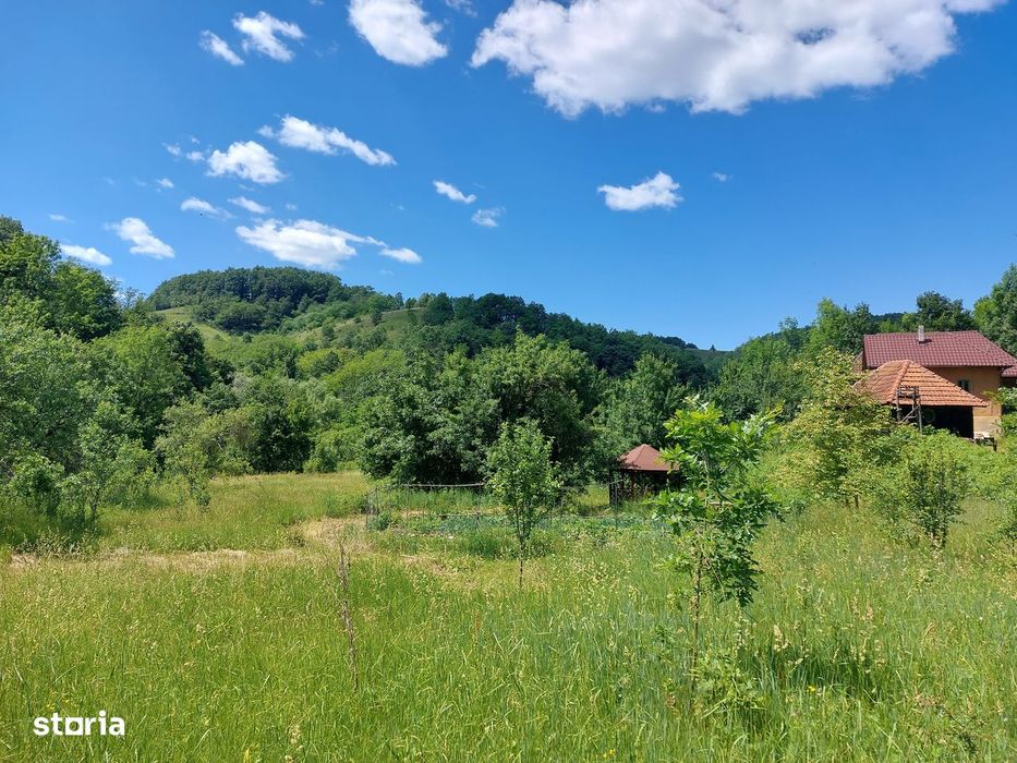 Casă Naturală în Transilvania