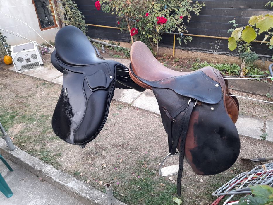 Sa calarie universala wintec 2000 Echitație