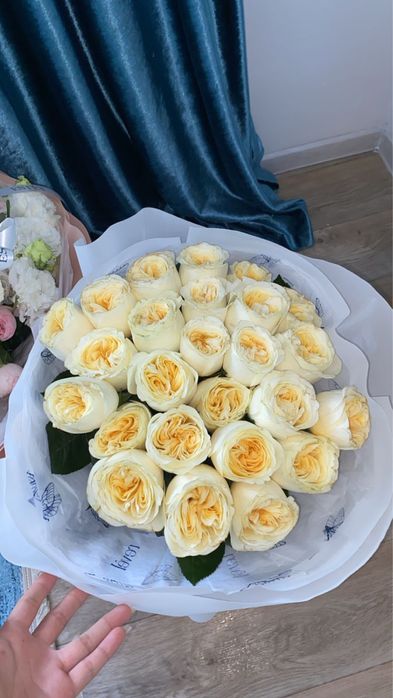 Свежие цветы новые
