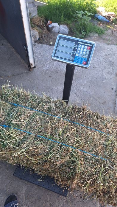 Baloți lucerna coasa 3