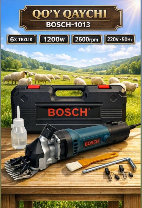 Qoy moshinka mashinka qoy