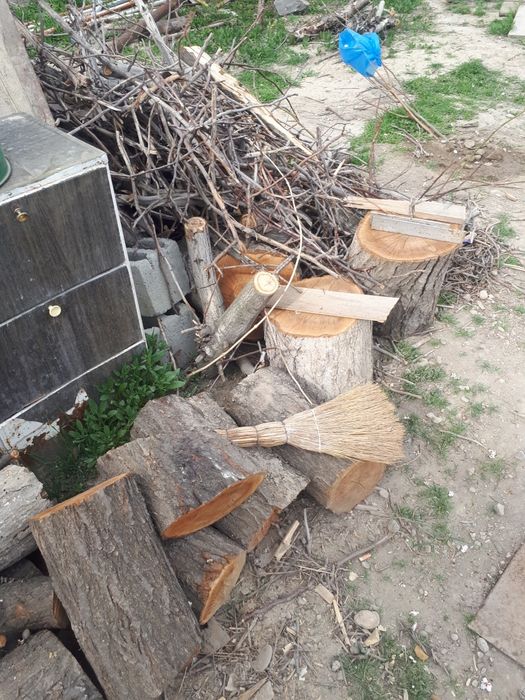 Дрова разные ветки пень