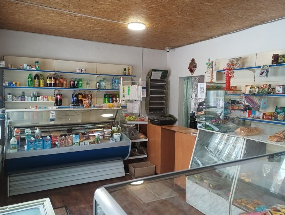 Продажа дом+магазин Талгар