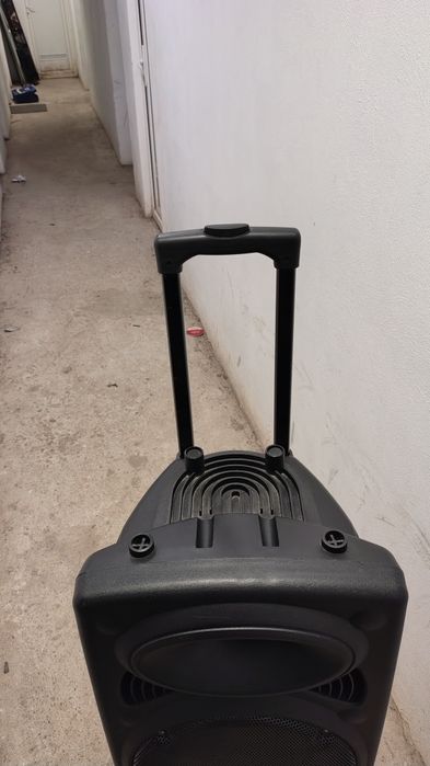 Boxă portabilă temeishing