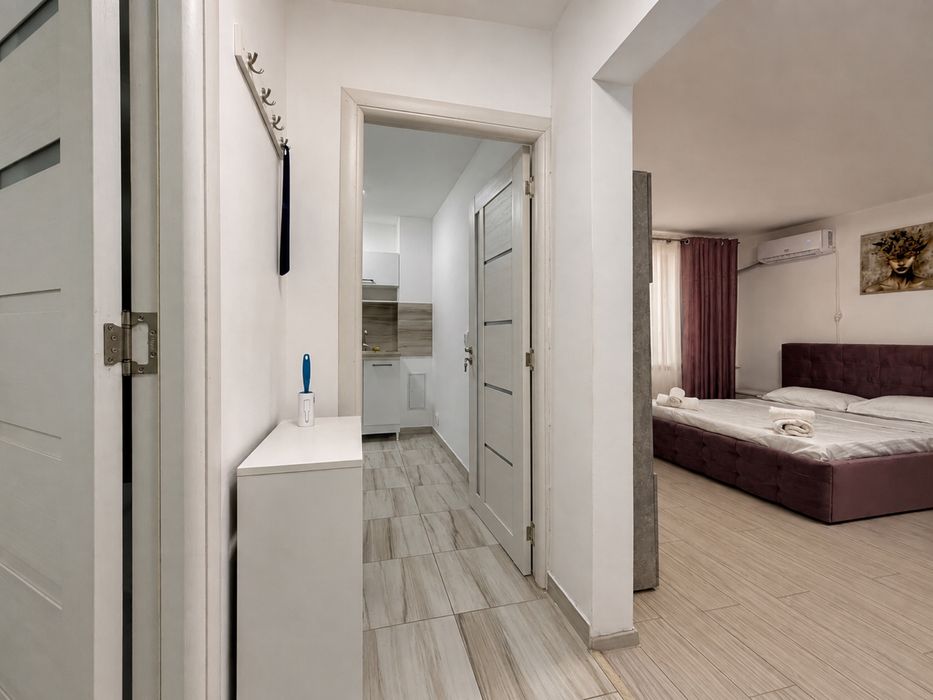 Studio Alba Iulia - Regim hotelier