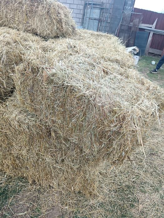 Қырдың майда шоп 1300 тенге