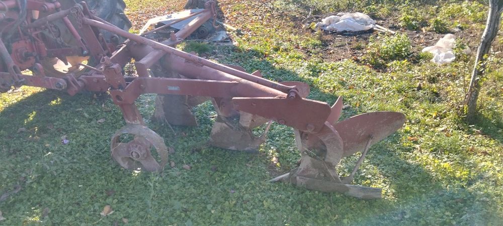 Puiet nuci viguroși și plug