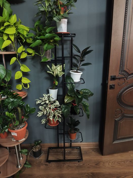 Полка для растений