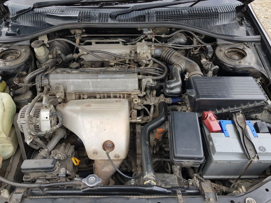 Продам калдину отс