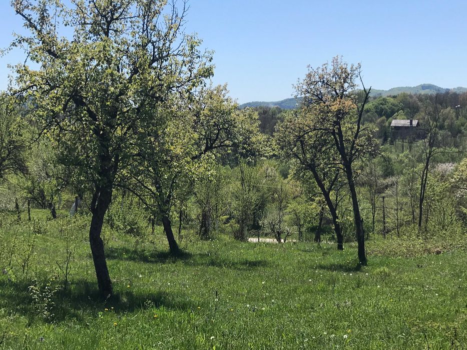 Teren intravilan zona de munte - Albestii de Muscel (Arges)