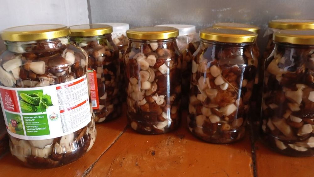 Продам грибы валуи