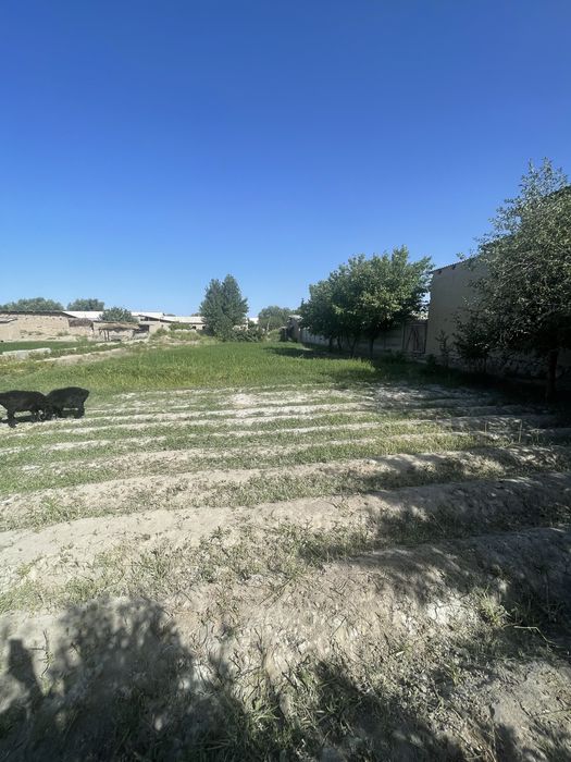 12 sotixli yer joy sotiladi